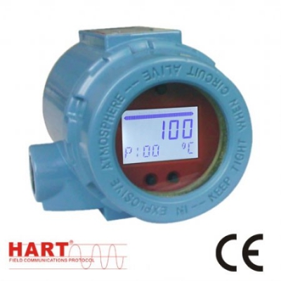 Field Temperature Transmitter TMT199